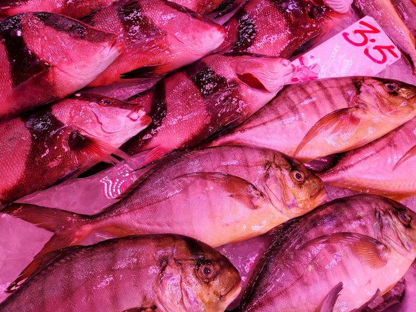 Vivre sans thyroïde : est-ce possible ?